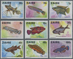 4040: Kongo Kinshasa