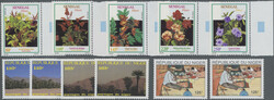 7360: Collections and Lots Africa