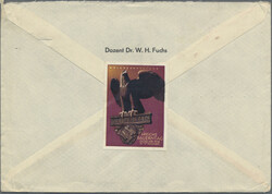 7740: Collections and Lots Poster Stamps, Vignettes - Vignettes