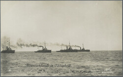 7940: Lots and Collections Picture Postcards Topics - Picture postcards