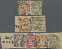 5655146: Switzerland sitting Helvetia perforated