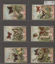 Liebig-Bilder, ca. 339, ganz überwiegend verschiedene Bilder ex ...