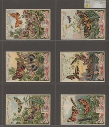 Liebig-Bilder, ca. 248, ganz überwiegend verschiedene Bilder ex ...