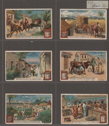 Liebig-Bilder, ca. 240, ganz überwiegend verschiedene Bilder ex ...
