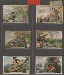 Liebig-Bilder, ca. 252, ganz überwiegend verschiedene Bilder ex ...