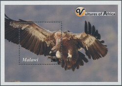 2018 'Vultures of Africa', ERROR 6th souvenir sheet, withdrawn from ...
