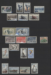 2680: Territorios franceses en la Antártida - Collections