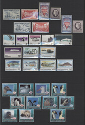 5380: Ross Zona - Collections