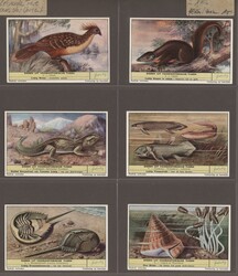 KULTURGESCHICHTE/BRÄUCHE/JAHRESZEITEN - Liebig-und ...