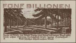 Freudenstadt und Baiersbronn, 5 Billionen Mark, 1.11.1923, 17 Scheine ...
