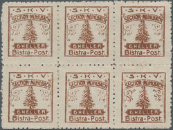 1906, Hotel Post "Bistra", private mail service, 6h. brown on white ...