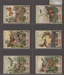 Swap image