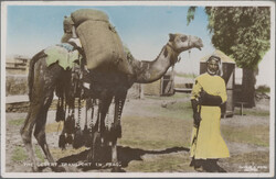 Swap image