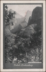 Swap image