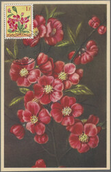 Swap image