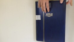 7195: Sammlungen und Posten Österreichische Gebiete