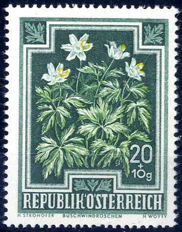Lot 2434 - europe Austria 2nd. Republic - Viennafil Auktionen 63rd LIVE AUCTION Lot 2434 - europe Austria 2nd. Republic - Viennafil Auktionen 63rd LIVE AUCTION