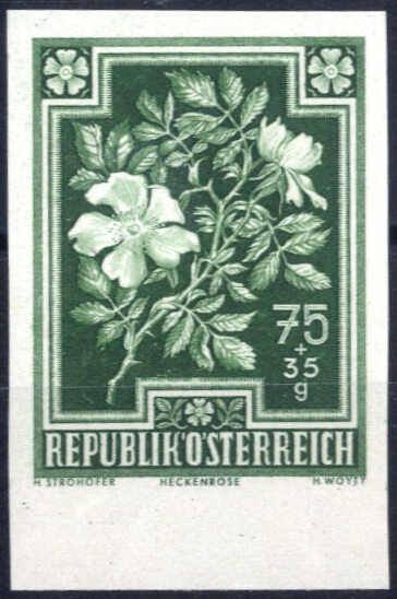 Lot 2205 - europe Austria 2nd. Republic -  Viennafil Auktionen Auction #69 Worldwide Mail Auction: Italy, Austria, Germany, Europe and Overseas