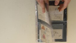 7195: Sammlungen und Posten Österreichische Gebiete