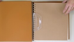 7195: Sammlungen und Posten Österreichische Gebiete - Portomarken