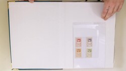 Napoli, Occupazione jugoslava di Trieste, Fiume e Pola, ...