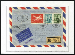 7195: Sammlungen und Posten Österreichische Gebiete