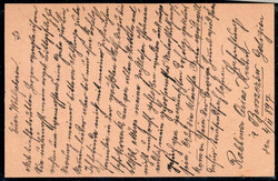 Borszczow 1897, Correspondenz-Karte 2 Kr. braun (Deutsch-Poln.-Ruth.) ...