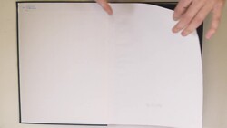 Persien 1882-1969 (ca.), kleine Teilsammlung, meist gestempelt im ...