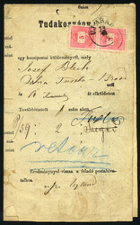 Picture 1 for Lot from Viennafil Auktionen