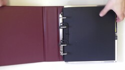 7195: Sammlungen und Posten Österreichische Gebiete