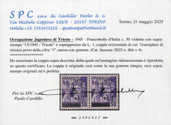1945, Monumenti distrutti 50 c. violetto con soprastampa "1.V ...