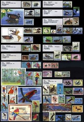 8420: Tiere, Vögel