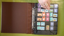 6580: UNO Geneva - Collections