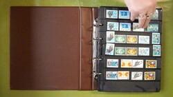 6590: UNO Vienna - Collections