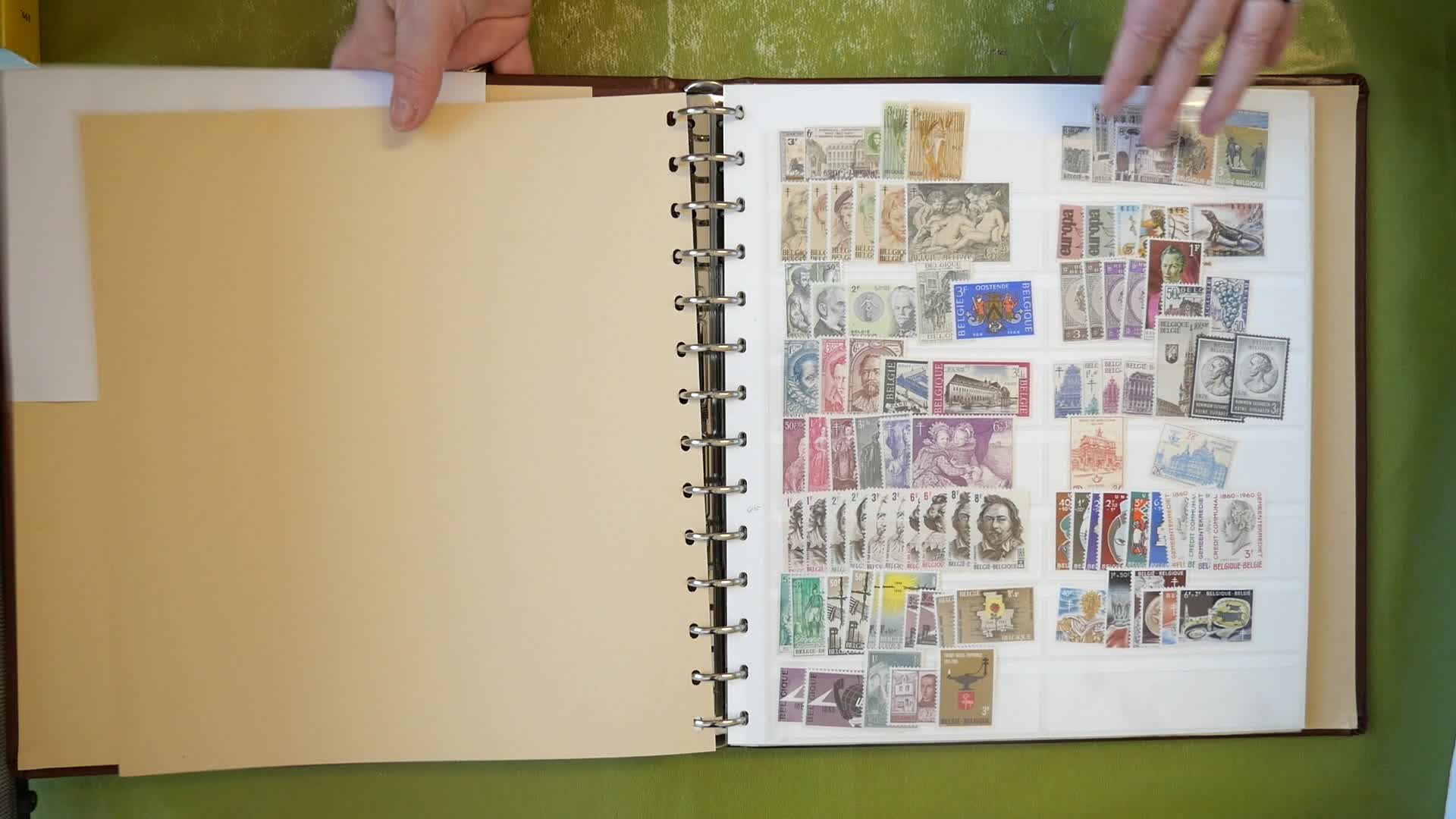 Sortenreicher ** Dublettenbestand im gr. Safe RingbinderAutomatically ...