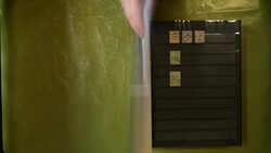 Sauber geführte überwiegend sauber gestempelte Slg. ab Rayon/1959, ...