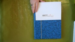 7999: l'État souverain allemand de Bavière - Collections