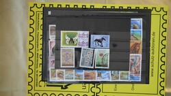 Kirgisistan, nettes kl. Lot einschl. ** Blöcken auf Steckkarten