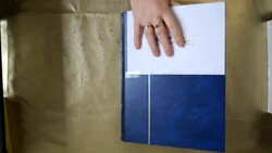 Umfangreiche Slg. bis ca. 2009, dabei sehr viele Bockausgaben diese ...