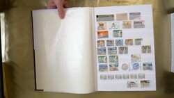 6750: Zimbabue - Collections