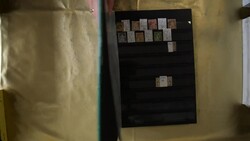 Nette Grundstockslg. ab 1850, schon ab Mi. Nr. 8, div. Ausgaben ...