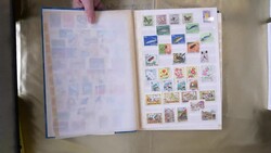 Ab ca. 1952, gewaltige Slg., sehr umfangreich einschl. den ...