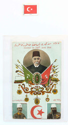 6355: Turkey - Postage due stamps