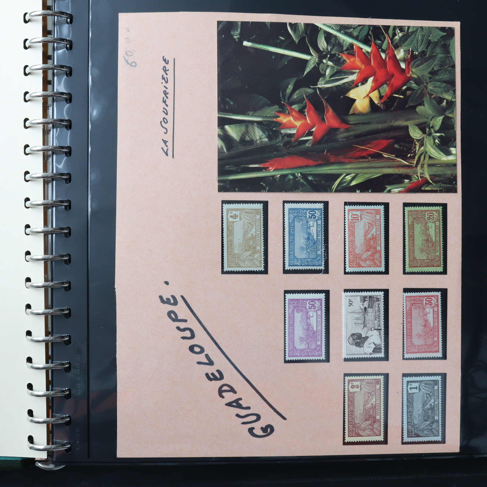 Lot 883 - Collections Louis Nicollin guadeloupe -  Auktionshaus Schlegel 26 Public Auction