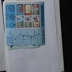 7365: Collections and Lots America