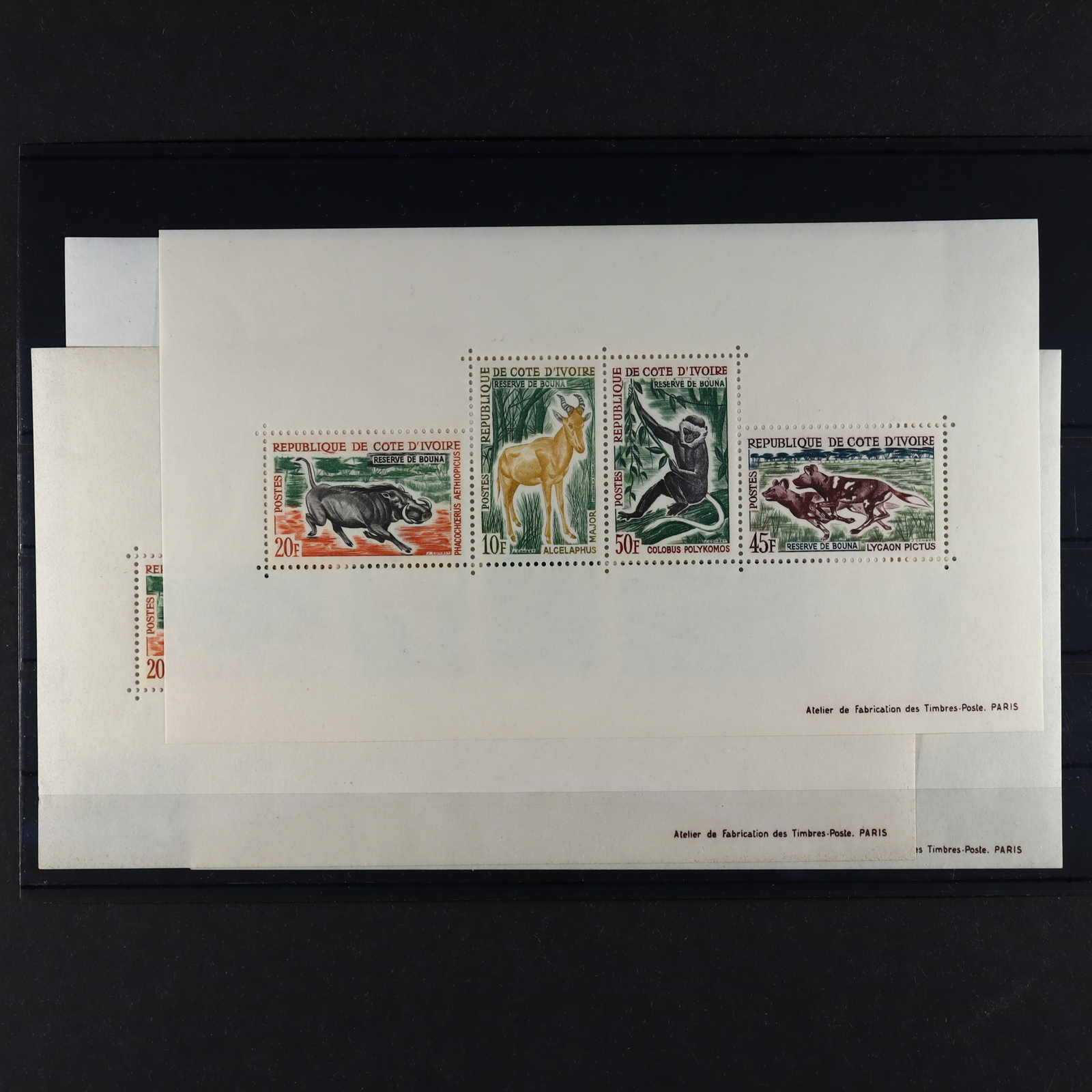 Image 1 for lot number 4443200182 for Schlegel online Shop