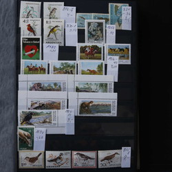 7365: Collections and Lots America