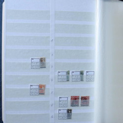 350: Saar - Collections