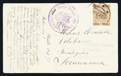 2455: Estonia - Specialties