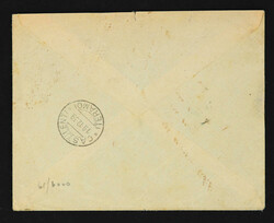 1939, airmail cover bearing pictorial issue 15 cen. pair and ...